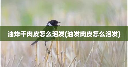 油炸干肉皮怎么泡发(油发肉皮怎么泡发)