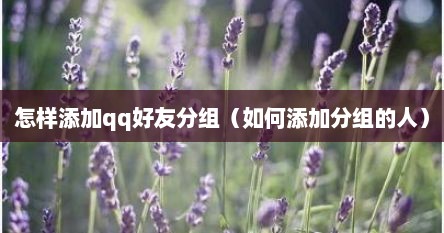 怎样添加qq好友分组（如何添加分组的人）