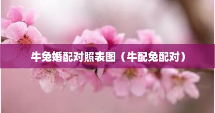 牛兔婚配对照表图（牛配兔配对）