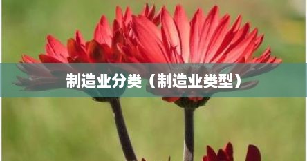 制造业分类（制造业类型）