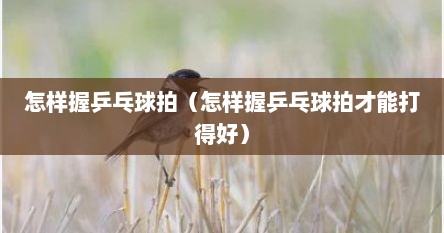 怎样握乒乓球拍（怎样握乒乓球拍才能打得好）