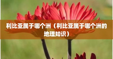 利比亚属于哪个洲（利比亚属于哪个洲的地理知识）