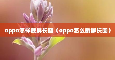 oppo怎样截屏长图（oppo怎么截屏长图）