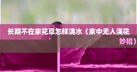 长期不在家花草怎样浇水（家中无人浇花妙招）