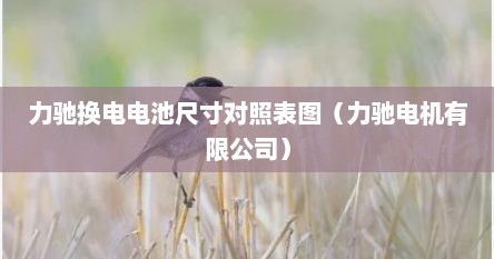 力驰换电电池尺寸对照表图（力驰电机有限公司）