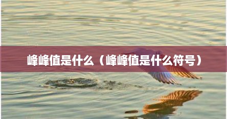 峰峰值是什么（峰峰值是什么符号）