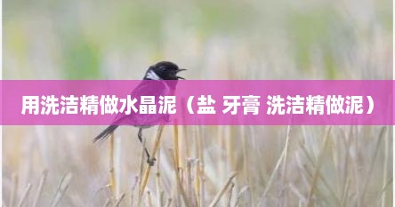 用洗洁精做水晶泥（盐 牙膏 洗洁精做泥）