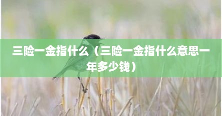三险一金指什么（三险一金指什么意思一年多少钱）