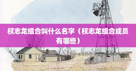 权志龙组合叫什么名字（权志龙组合成员有哪些）