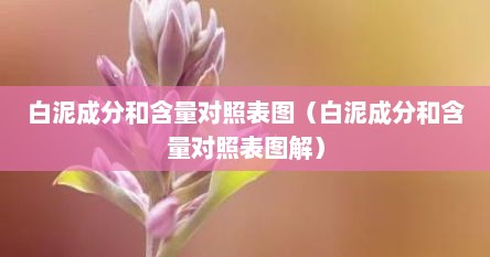 白泥成分和含量对照表图（白泥成分和含量对照表图解）