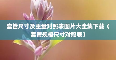 套管尺寸及重量对照表图片大全集下载（套管规格尺寸对照表）