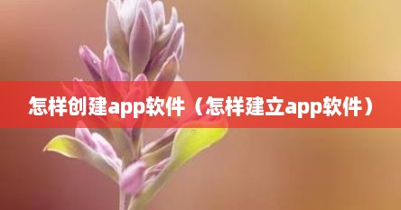 怎样创建app软件（怎样建立app软件）