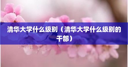 清华大学什么级别（清华大学什么级别的干部）