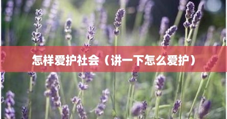 怎样爱护社会（讲一下怎么爱护）