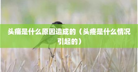 头痛是什么原因造成的（头疼是什么情况引起的）