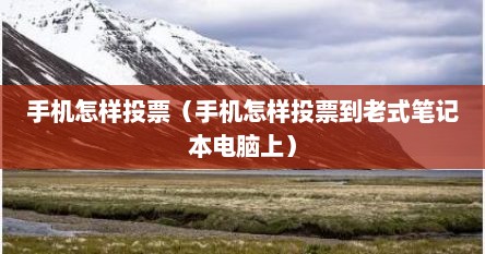 手机怎样投票（手机怎样投票到老式笔记本电脑上）
