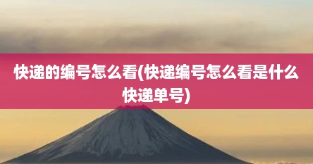快递的编号怎么看(快递编号怎么看是什么快递单号)