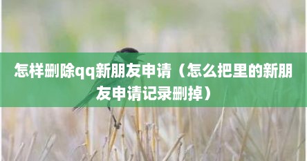 怎样删除qq新朋友申请（怎么把里的新朋友申请记录删掉）