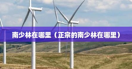 南少林在哪里（正宗的南少林在哪里）