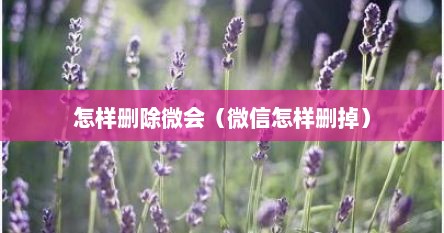 怎样删除微会（微信怎样删掉）