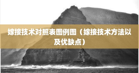 嫁接技术对照表图例图（嫁接技术方法以及优缺点）
