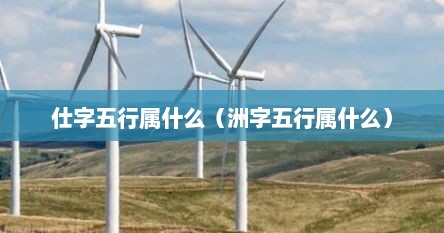 仕字五行属什么（洲字五行属什么）