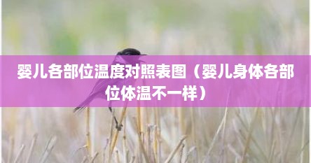 婴儿各部位温度对照表图（婴儿身体各部位体温不一样）