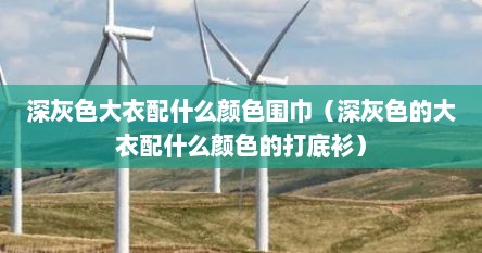 深灰色大衣配什么颜色围巾（深灰色的大衣配什么颜色的打底衫）