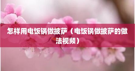 怎样用电饭锅做披萨（电饭锅做披萨的做法视频）