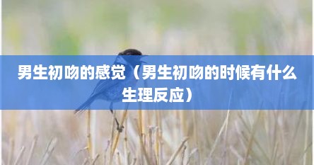 男生初吻的感觉（男生初吻的时候有什么生理反应）
