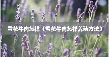 雪花牛肉怎样（雪花牛肉怎样养殖方法）
