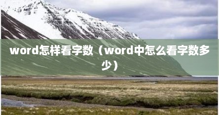 word怎样看字数（word中怎么看字数多少）
