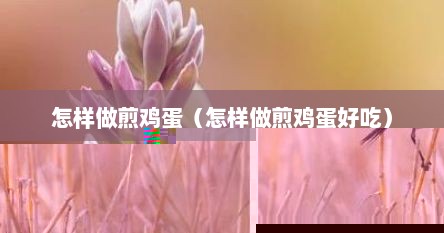 怎样做煎鸡蛋（怎样做煎鸡蛋好吃）