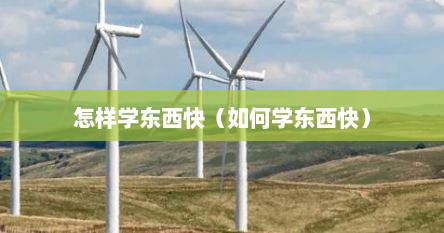 怎样学东西快（如何学东西快）