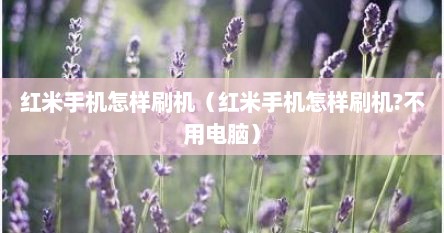 红米手机怎样刷机（红米手机怎样刷机?不用电脑）