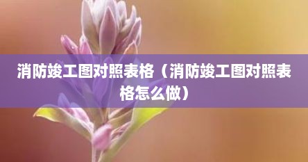 消防竣工图对照表格（消防竣工图对照表格怎么做）