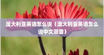 澳大利亚英语怎么说（澳大利亚英语怎么说中文谐音）