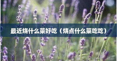 最近烧什么菜好吃（烧点什么菜吃吃）