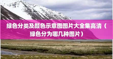 绿色分类及颜色示意图图片大全集高清（绿色分为哪几种图片）