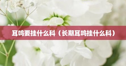 耳鸣要挂什么科（长期耳鸣挂什么科）