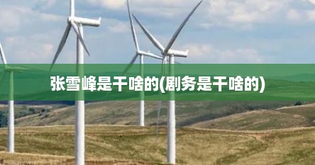 张雪峰是干啥的(剧务是干啥的)
