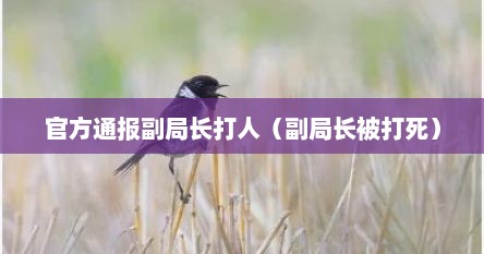 官方通报副局长打人（副局长被打死）