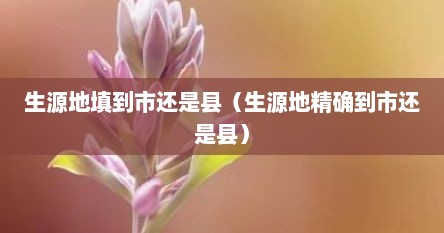 生源地填到市还是县（生源地精确到市还是县）
