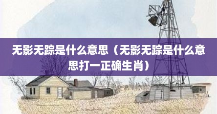 无影无踪是什么意思（无影无踪是什么意思打一正确生肖）