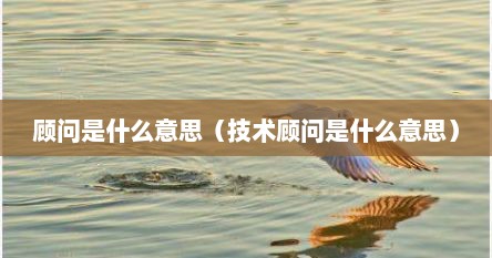 顾问是什么意思（技术顾问是什么意思）
