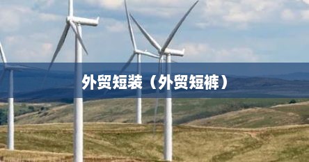 外贸短装（外贸短裤）