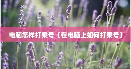 电脑怎样打乘号（在电脑上如何打乘号）
