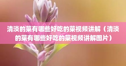清淡的菜有哪些好吃的菜视频讲解（清淡的菜有哪些好吃的菜视频讲解图片）
