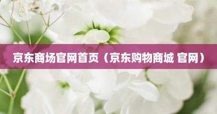京东商场官网首页（京东购物商城 官网）