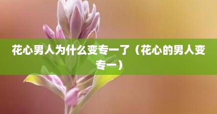 花心男人为什么变专一了（花心的男人变专一）